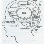 Male Brain Male Brain